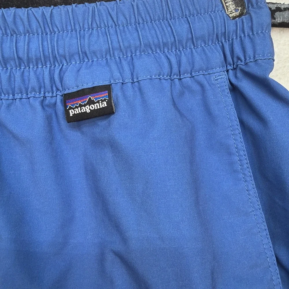 Patagonia Baggies Shorts Mens Small Lined Swim‎ Trunks Beach Outdoor Activewear